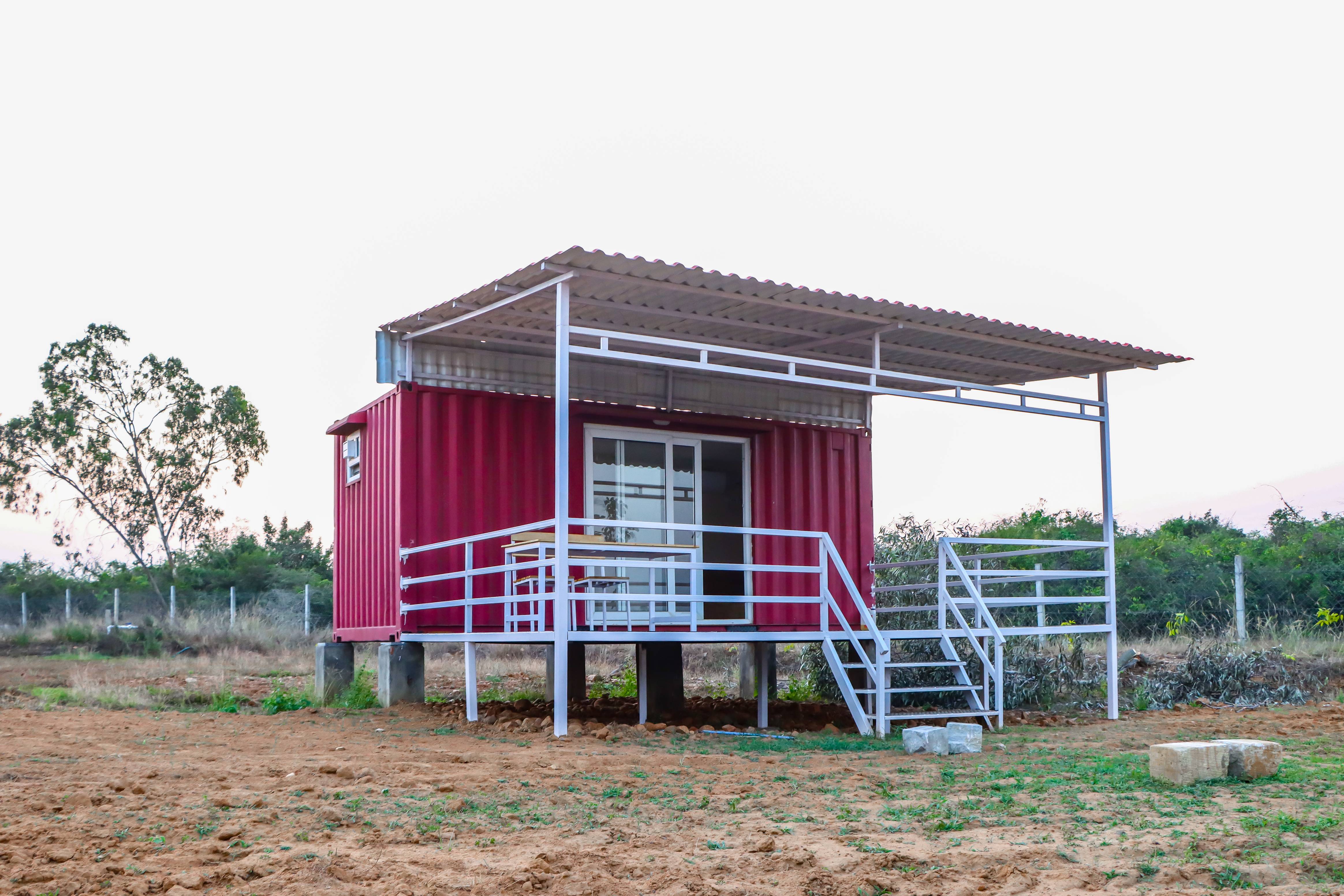 Fresh vegetables from the farm garden